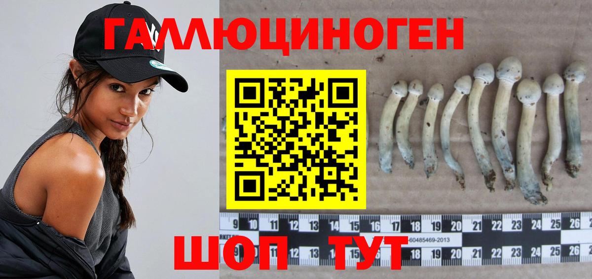 Псилоцибиновые грибы Magic Shrooms Кстово
