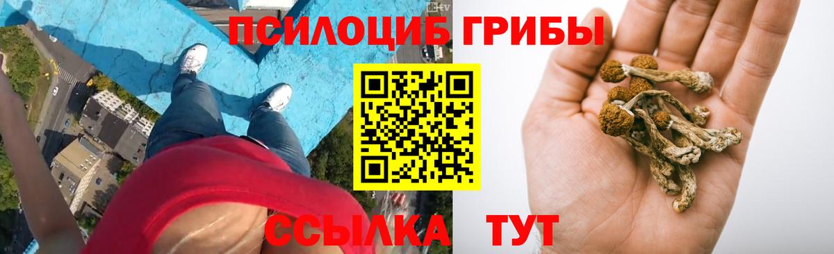 Псилоцибиновые грибы Cubensis  Вход с VPN  Кстово 